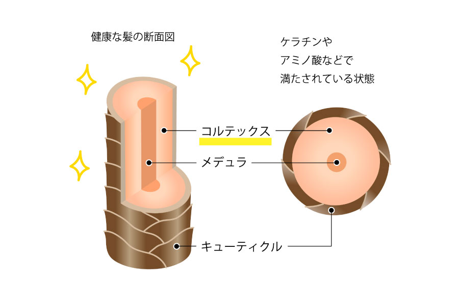 newケラチン